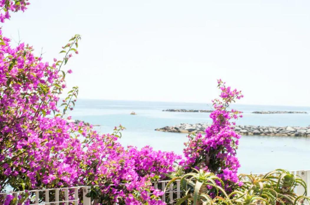 Giardino In Citta; Centralissimo سانريمو المظهر الخارجي الصورة