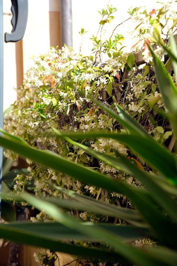 Giardino In Citta; Centralissimo سانريمو المظهر الخارجي الصورة