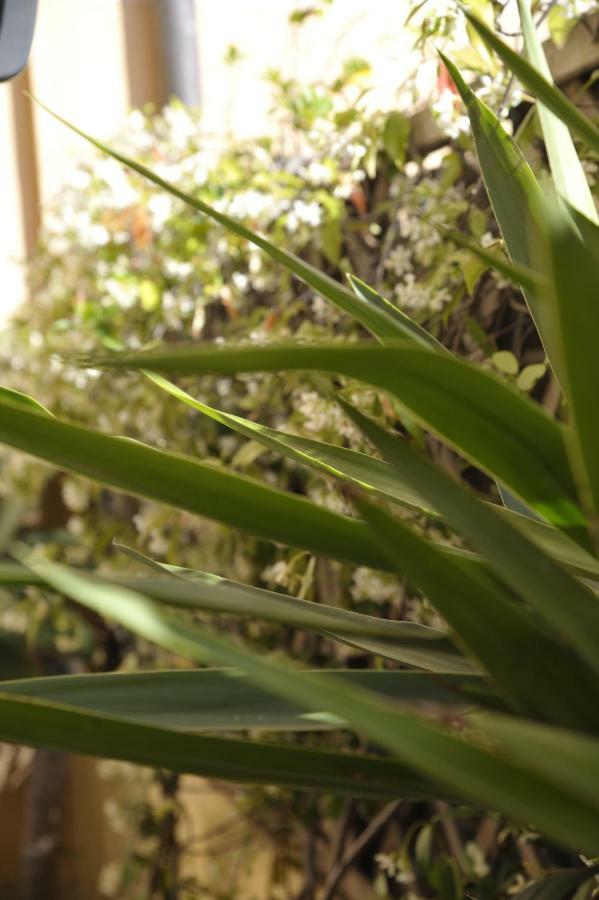 Giardino In Citta; Centralissimo سانريمو المظهر الخارجي الصورة